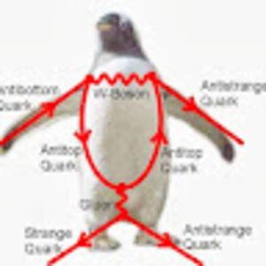 Meet your Posher, Matthew